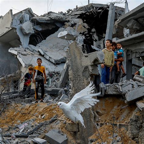 live embed xiamen|Middle East Crisis: Israel.